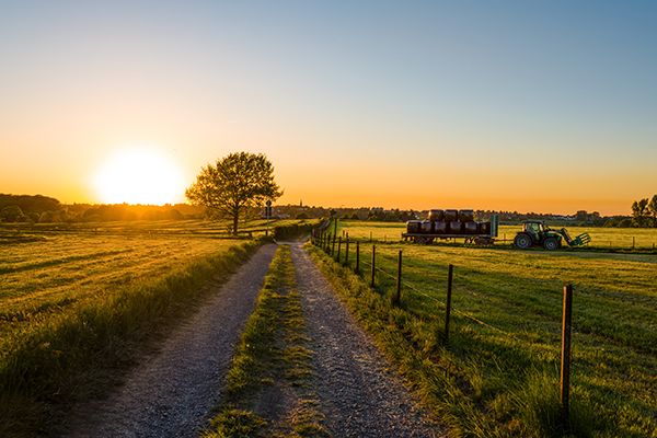 Forage Seed Crop Provision Updates for 2022 - ProAg