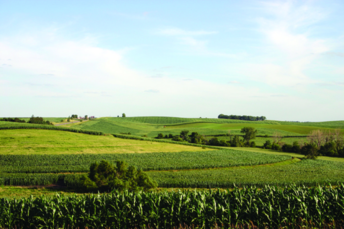 Land Values Surge To Temper In 2024 ProAg   Farm Fields 1200x800 