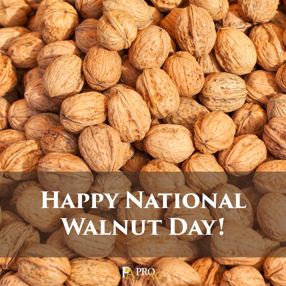 National Walnut Day May 17, 2016 | ProAg