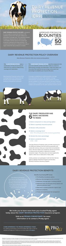 Dairy Revenue Protection Infographic | ProAg