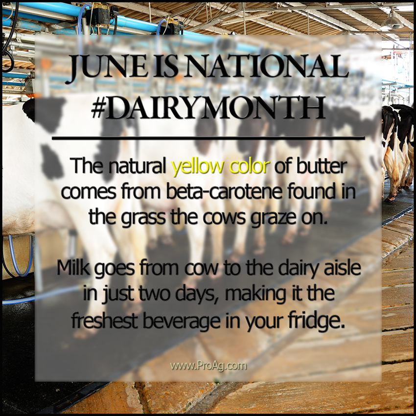 National Dairy Month: Friday Fun Ag Facts | ProAg