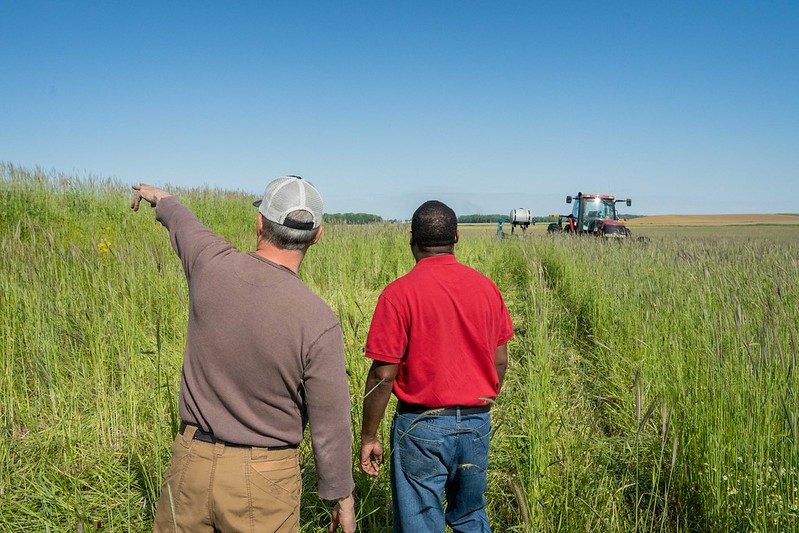 Cover crops, low till, no till